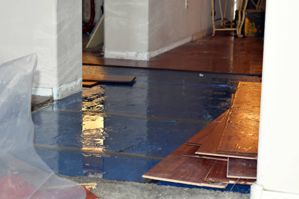 Professional Water Damage Restoration technician working in Le Center, MN
